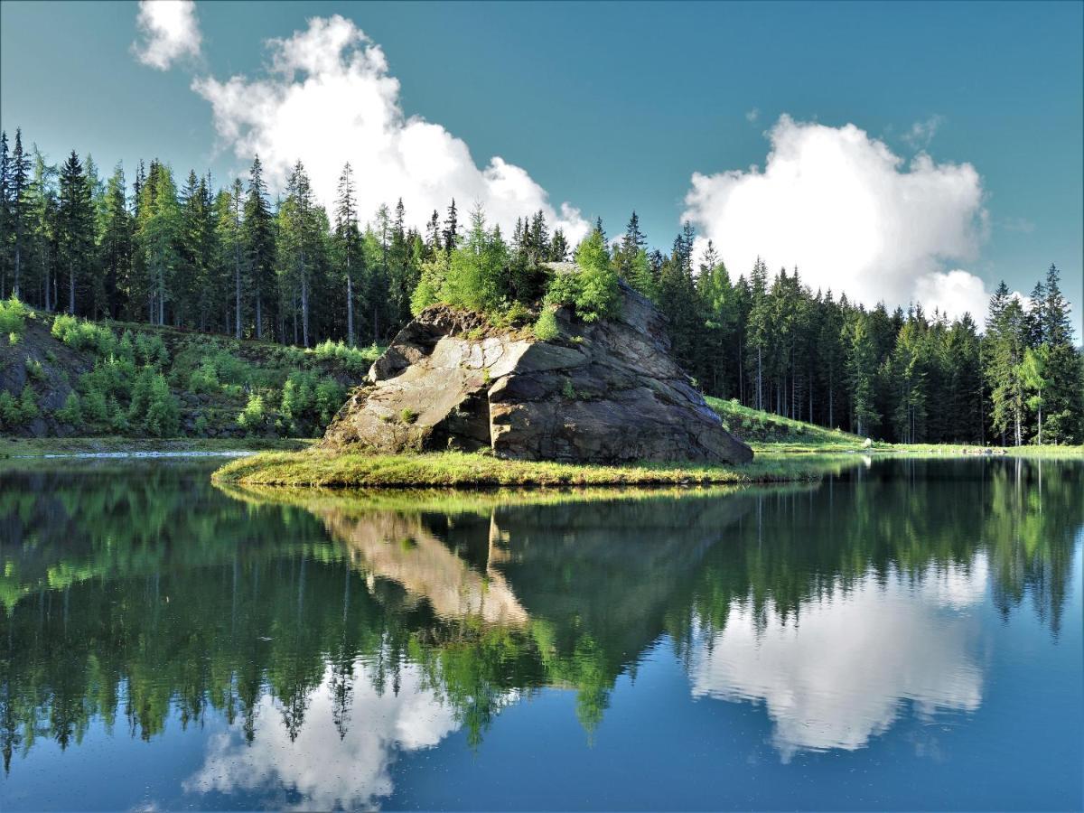Naturforsthaus Gartenblick Fuer Hunde - Und Naturverbundene Menschen Preitenegg Dış mekan fotoğraf
