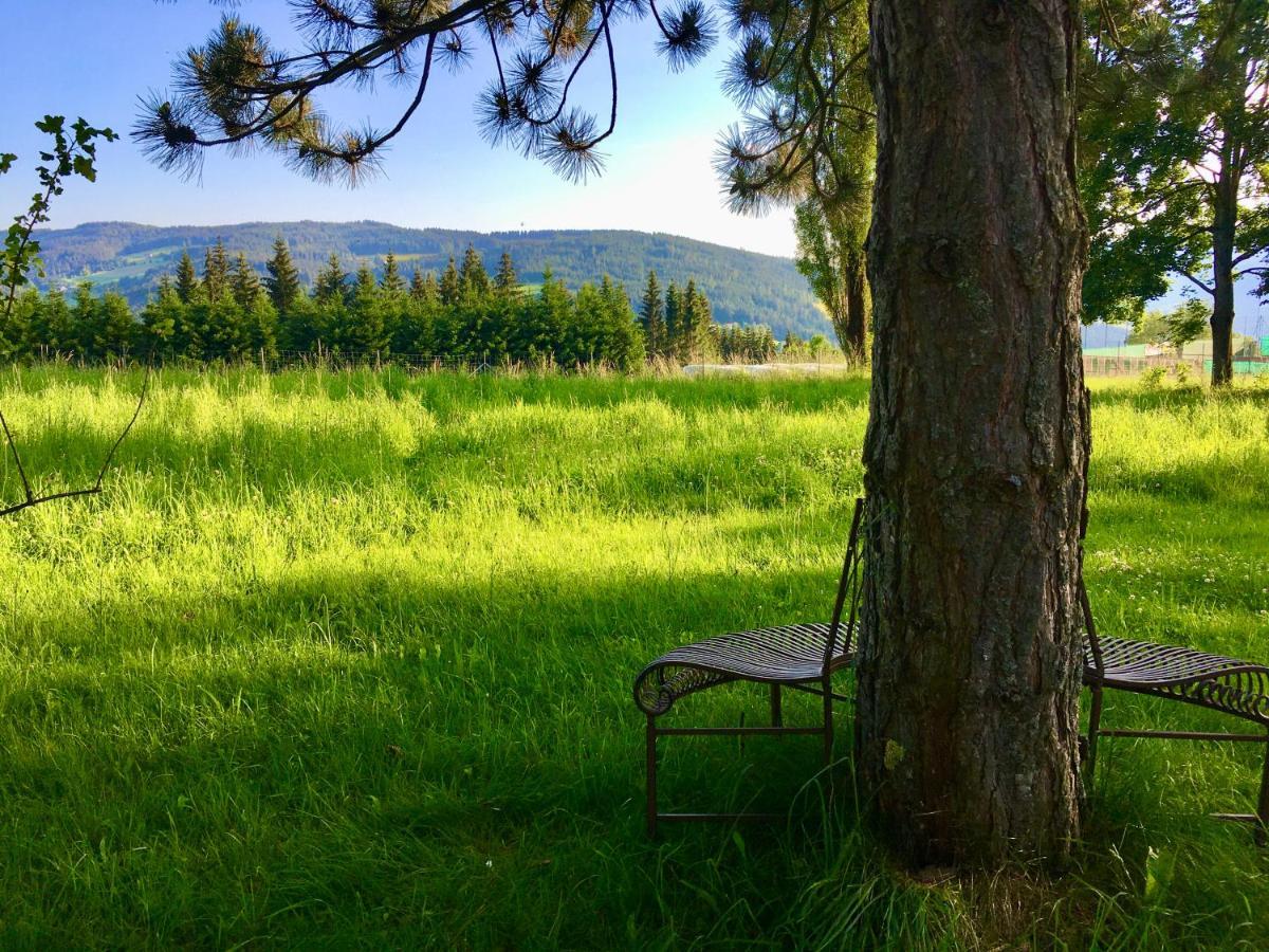 Naturforsthaus Gartenblick Fuer Hunde - Und Naturverbundene Menschen Preitenegg Dış mekan fotoğraf