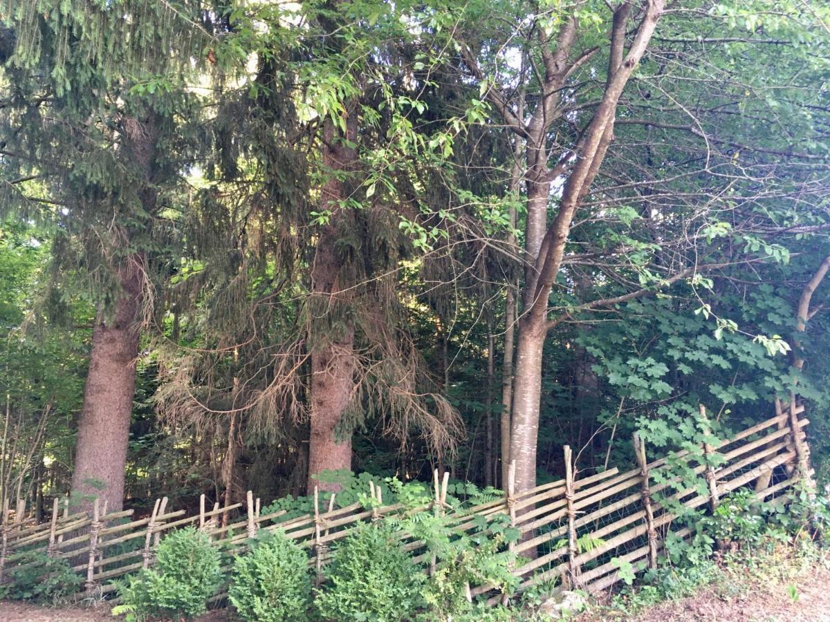 Naturforsthaus Gartenblick Fuer Hunde - Und Naturverbundene Menschen Preitenegg Dış mekan fotoğraf