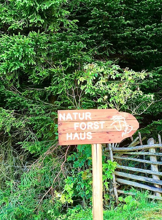 Naturforsthaus Gartenblick Fuer Hunde - Und Naturverbundene Menschen Preitenegg Dış mekan fotoğraf