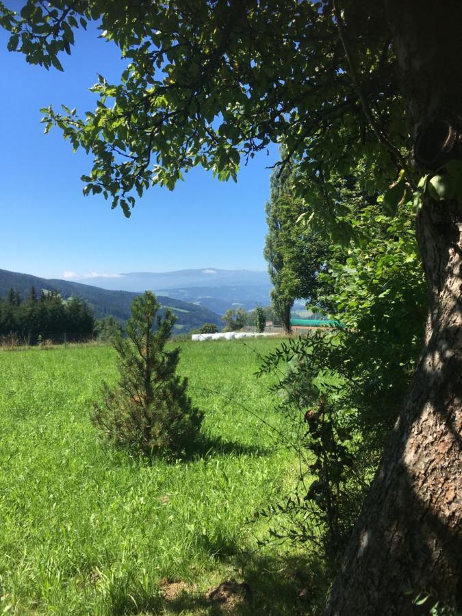 Naturforsthaus Gartenblick Fuer Hunde - Und Naturverbundene Menschen Preitenegg Dış mekan fotoğraf