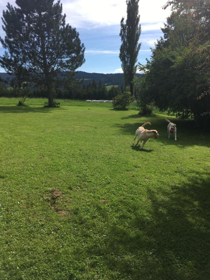 Naturforsthaus Gartenblick Fuer Hunde - Und Naturverbundene Menschen Preitenegg Dış mekan fotoğraf