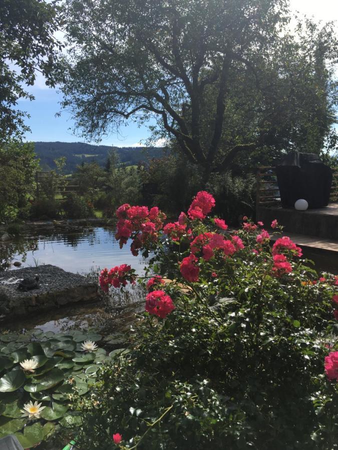 Naturforsthaus Gartenblick Fuer Hunde - Und Naturverbundene Menschen Preitenegg Dış mekan fotoğraf