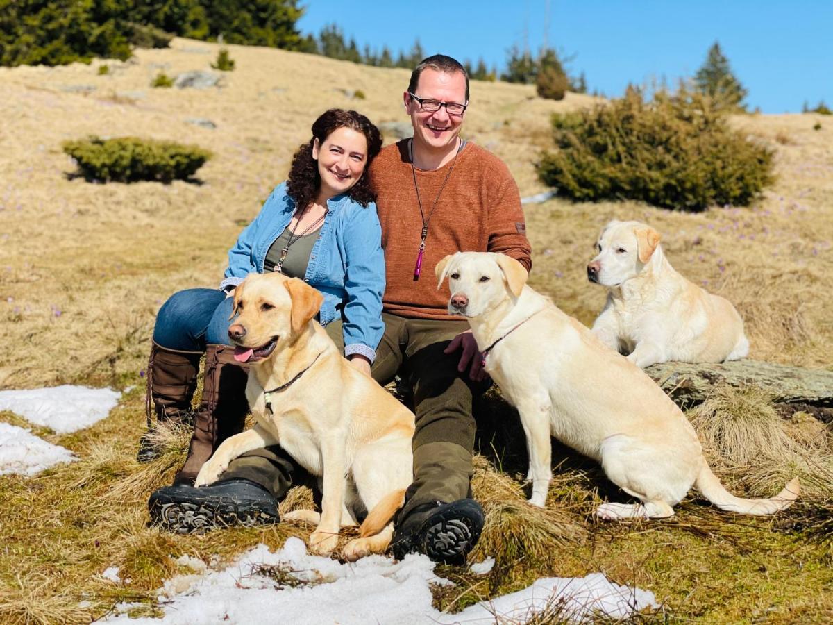 Naturforsthaus Gartenblick Fuer Hunde - Und Naturverbundene Menschen Preitenegg Dış mekan fotoğraf
